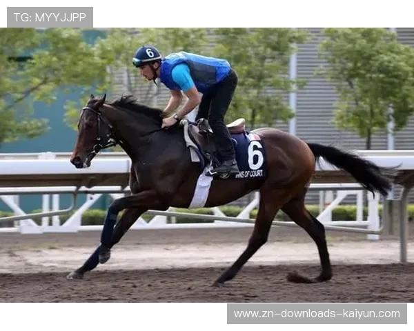 国际马术联合会试点动物福利监测，心率传感器追踪马匹应激反应